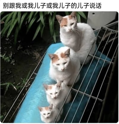 这是一张静态实拍的宠物梗图，画面中四只毛色为白底色带橘色斑块的猫咪，体型从上方到下方依次变小，呈现出类似祖辈、父辈、子辈、孙辈的家族层级感。它们都摆出眼神倦怠、一脸不耐烦的厌世表情，整齐地坐在带有蓝色垫子的金属架上。图片上方配有文字“别跟我或我儿子或我儿子的儿子说话”，通过猫咪高度相似的外观和一致的烦躁神态，以拟人化的方式生动表达出拒绝社交、不想被搭话的情绪，营造出一家子都不想被打扰的搞笑氛围，十分贴合社恐人群的心境。