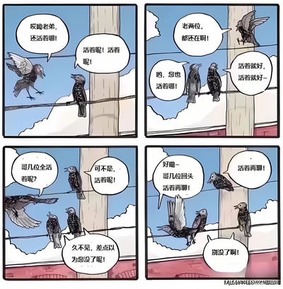 这是一幅四格连环漫画，描绘了几只鸟在电线上互相问候的有趣场景。第一格中，一只飞鸟落在电线上对另一只鸟说："哎哟老弟，还活着哪!"，对方回应："活着呢!活着呢!"。第二格中，又一只飞鸟飞来问候另外两只鸟："老两位，都还在啊!"，得到回应："哟，您也活着哪!"和"活着就好，活着就好~"。第三格中，更多的鸟加入对话，一只飞鸟问："哥几位全活着呢?"，站线鸟回答："可不是，活着呢!"，另一只飞鸟则说："久不见，差点以为您没了呢!"。第四格中，飞鸟准备离开："好嘞~哥几位回头活着再聊!"，站线鸟回应："活着再聊!"，还有一只鸟叮嘱："别没了啊!"。整个漫画通过鸟类之间拟人化的问候对话，营造出轻松幽默的氛围。