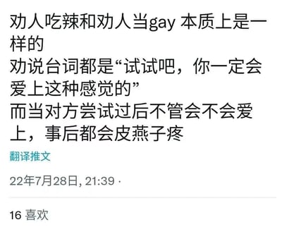 图片为纯文字内容，主要通过对比“劝人吃辣”和“劝人当gay”两种行为，指出两者劝说台词相似，均为“试试吧，你一定会爱上这种感觉的”，并幽默调侃尝试后的共同结果是“皮燕子疼”（网络用语，指肛门疼痛）。内容采用夸张比喻的方式制造笑点，带有明显的网络段子特征。