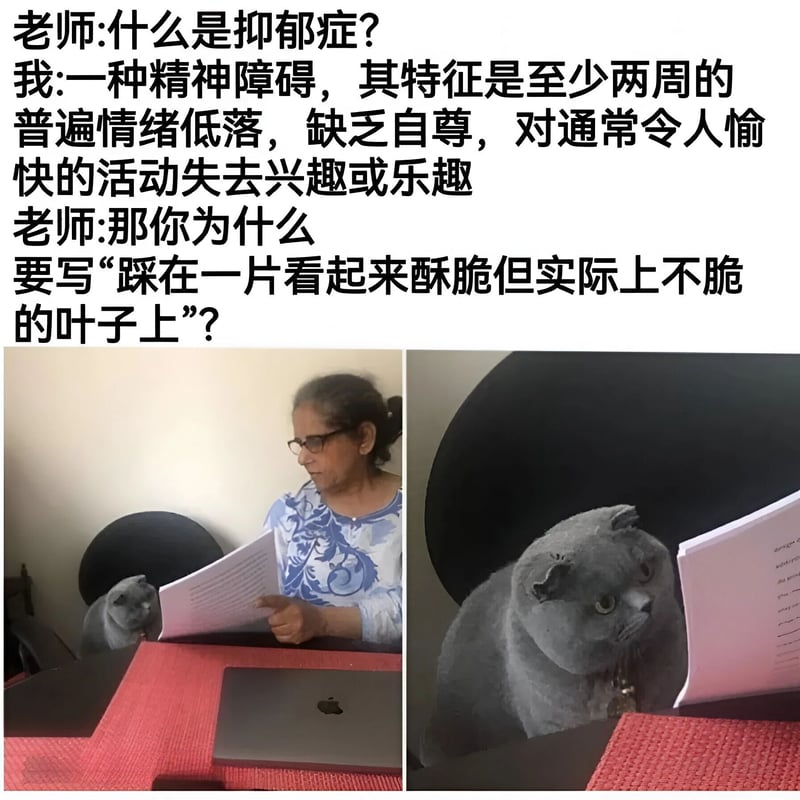 老师