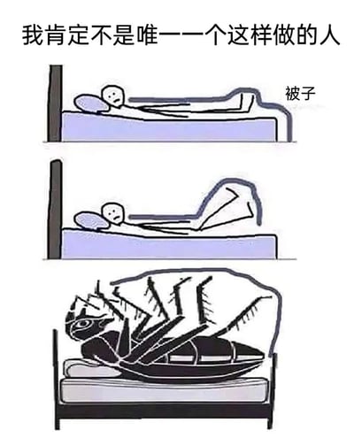 这是一张三格竖版连环漫画，描绘了人们睡觉时与被子“搏斗”的搞笑场景。第一格：简笔画小人躺在床上，盖着标有“被子”的蓝色毯子，面露担忧；第二格：小人身体移动，毯子开始移位；第三格：毯子夸张地变成蜘蛛状，伸出多条“腿”将小人包裹，画面极具戏剧性。顶部文字“我肯定不是唯一一个这样做的人”点出了这种睡眠中被子乱跑的经历具有普遍性，引发观众共鸣。