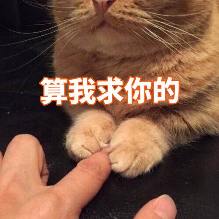 橘猫用爪子按住手指求饶：算我求你的