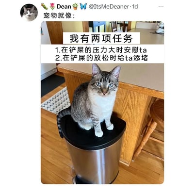 这是一张来自X（原Twitter）平台的社交媒体截图，用户Dean发布了自家猫咪的实拍照片：一只灰白相间的猫咪正淡定地坐在厨房的垃圾桶盖子上，直视镜头。配文以幽默的视角，将宠物的日常行为总结为两项“任务”——在主人（铲屎官）压力大时给予安慰，在主人放松时给主人添堵，精准调侃了宠物时而暖心时而调皮的反差感，戳中养宠人群的日常共鸣，用轻松搞笑的方式展现了养宠生活的趣味。