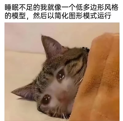 图片上方配有文字“睡眠不足的我就像一个低多边形风格的模型，然后以简化图形模式运行”，下方是一只虎斑猫躺卧着，头部倾斜，眼睛半睁，表情显得十分疲惫，仿佛精力被极度简化，生动形象地用低多边形模型比喻睡眠不足时的状态。