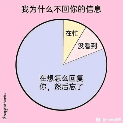 这是一张以“我为什么不回你的信息”为主题的搞笑图文饼状图，采用静态单图的图文混排形式，通过占比悬殊的三个区块，生动呈现了人们不回消息的真实原因：占比绝大多数的是“在想怎么回复你，然后忘了”，另外两个占比极小的原因是“在忙”和“没看到”，精准捕捉到日常社交中人们回复消息时的纠结与遗忘的状态，引发观者的强烈共鸣，属于很贴近生活的搞笑meme内容。