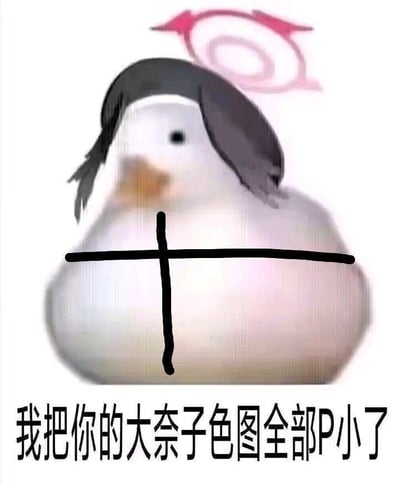 一张卡通风格的梗图，画面主体是一只圆滚滚的白色小鸟，胸前有一个黑色十字标记，头顶有黑色的毛发状装饰，上方有一个粉色的类似女性符号的图案。图片底部有一行黑色文字："我把你的大奈子色图全部P小了"，表达了一种幽默的威胁或调侃。