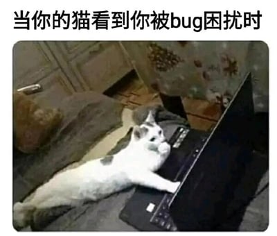 这是一张文字加注的静态实拍图，图片上方配有文字“当你的猫看到你被bug困扰时”，画面主体是一只白灰相间的猫咪，它趴在打开的笔记本电脑键盘上，一只前爪搭在键盘区域，抬头专注地看着电脑屏幕。结合配文，用幽默的方式调侃了程序员或被工作bug困扰的办公族，在遇到问题时，自家猫咪不仅无法提供帮助，还会以趴在键盘上的方式干扰操作的有趣日常，精准戳中了养猫的职场人群的共鸣点，充满生活趣味。
