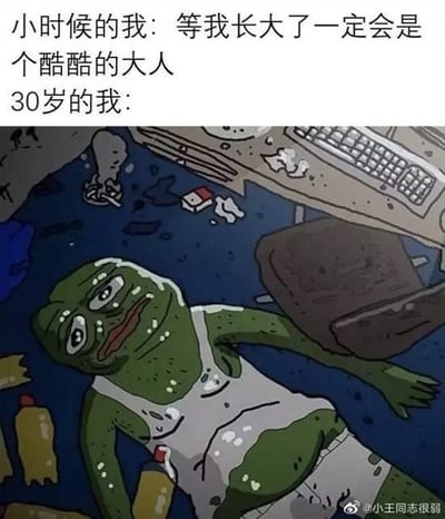 图片上半部分为文字内容：“小时候的我：等我长大了一定会是个酷酷的大人 30岁的我：”，下半部分是一幅卡通图像。图中是网络知名表情包角色悲伤蛙（Pepe the Frog），它穿着白色背心，身体摊躺在一片狼藉的地面上，周围散落着塑料瓶、食品包装袋和键盘等垃圾，表情颓废无奈，完美呼应了文字中“小时候的理想”与“30岁现实”的巨大反差，通过幽默自嘲的方式展现成年生活的真实状态。