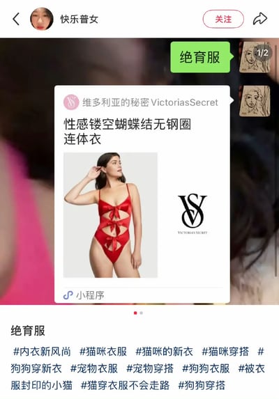 本图为维多利亚的秘密（Victoria's Secret）一款性感红色镂空连体衣的商品展示，被网友配文戏称为“绝育服”。由于它的多根绑带与剪裁视觉效果，容易让人联想到宠物绝育手术后穿着的服装，引发网友联想并调侃。图片中还配有各种关于宠物穿新衣的话题标签，形成强烈反差与幽默氛围，明显是网络流行梗的二次创作。

此梗本质基于视觉形态的双关和类比，是对时尚内容的调侃。