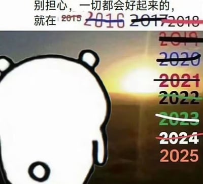 这是一张调侃生活苦难不断、每年都“寄希望于明年会更好”的表情包。画面主体是一只头部巨大的漫画白色熊背对着落日，透出孤独和无奈。上方配文“别担心，一切都会好起来的，就在...”后面列出多个年份，从2015到2025，所有年份都被划掉，只有2025还未划。通过不断划掉前一年的方式，讽刺了人们一年又一年地期盼未来、但生活却总让人失望、希望永远在“明年”的无奈情绪。
图中利用了日常网络热梗“今年不行，明年一定行”、“寄希望明年”，属于自嘲励志类幽默，带有一点无力感。并无明显的谐音梗或双关。