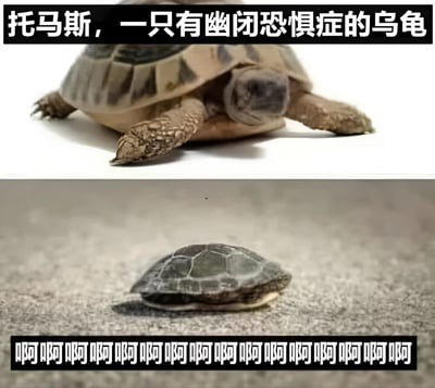 图片分为上下两部分。上半部分是一只乌龟，它的头部和四肢完全伸展出来，背景为纯白色，上方配有文字“托马斯，一只有幽闭恐惧症的乌龟”。下半部分是另一只乌龟，整个身体缩入了龟壳中，背景是灰色的地面，下方配有密集的“啊啊啊啊啊啊啊啊啊啊啊啊啊啊啊”文字。图片通过乌龟通常会缩入壳中躲避危险的习性，与“幽闭恐惧症”这一设定形成反差萌，缩入壳中的状态反而引发了乌龟的恐慌，从而产生幽默效果。