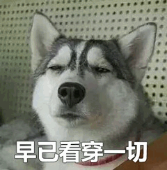 哈士奇早已看穿一切表情包