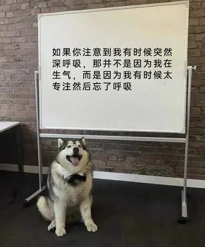 这是一张静态单图类的图文混排梗图，画面主体是一只被拟人化的哈士奇：它戴着黑框眼镜、黑色领结，吐着舌头、张嘴露出开心的表情，端正地坐在带支架的白色白板前方。白板上用黑色字体写着一段趣味文字：“如果你注意到我有时候突然深呼吸，那并不是因为我在生气，而是因为我有时候太专注然后忘了呼吸”。背景是复古砖墙与深色地面，整体风格诙谐幽默，通过拟人化的动物形象搭配生活化的趣味文字，调侃了人们过于专注时的可爱状态。