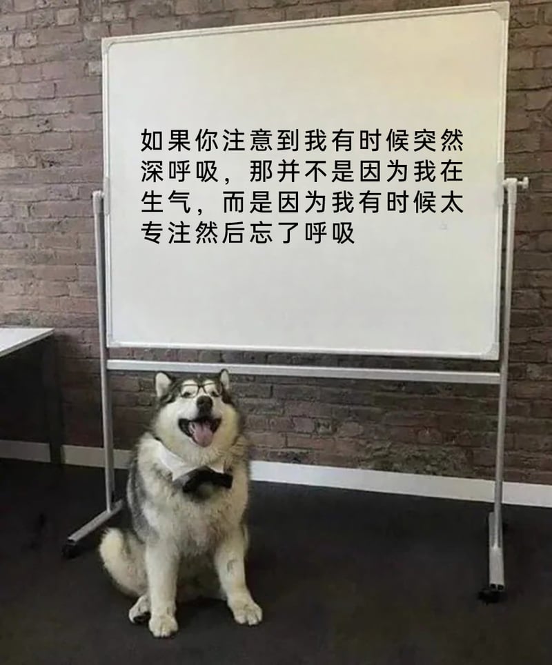 虚构的讲师