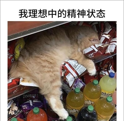 这是一张文字加注的实拍图，画面中一只橘白相间的胖猫咪以极其放松慵懒的姿态，瘫在超市货架的零食（多力多滋等品牌）和饮料（多款瓶装果汁类饮品）堆里熟睡，猫咪身体完全摊开，毫无形象地沉浸在睡眠中。图片顶部配有文字“我理想中的精神状态”，用猫咪这种不管周遭环境、彻底放松躺平的状态，精准表达了当代人在面对生活与工作压力时，渴望摆脱束缚、随心所欲彻底放松的心情，是一张能引发大众共鸣的搞笑梗图。