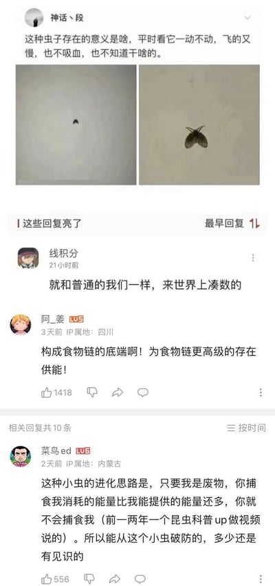 这是一张B站风格的社交媒体截图，用户「神话、段」发布两张小虫子的左右对比图，疑惑这种看起来行动迟缓、无明显攻击性的虫子存在的意义。评论区网友给出了各种有趣回复：有玩梗称虫子和普通人一样是来「凑数」的；有从生态角度解释它是食物链底端为上层供能；还有网友科普这种虫子的独特进化思路——让捕食者捕食它的能量消耗大于它能提供的能量，以此存活，还调侃能被这虫子破防的人有见识。整个内容兼具趣味性和科普性，引发网友共鸣。