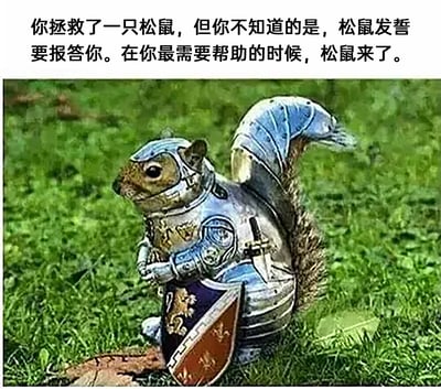这是一张趣味图文混排的静态图，画面主体是一只经过图像合成处理的松鼠，它身着一套精致的中世纪骑士盔甲，包括头盔、护胸甲、护臂甲，尾巴部分也配有专属盔甲，双手交握，手持一块带有华丽纹章的盾牌，站立在翠绿的草地上。图片上方配有一段暖心的文案，讲述了一个充满童话感的报恩故事：当你拯救过一只松鼠后，松鼠发誓会报答你，在你最需要帮助的时刻，它以全副武装的骑士形象出现，为你提供助力。整体画面奇幻有趣，将可爱的松鼠与威严的骑士形象结合，营造出既反差又暖心的氛围。