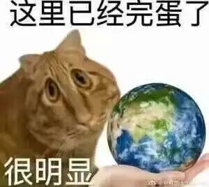 这是一张经过P图改编的网络吐槽梗图，画面主体是一只表情疑惑的橘猫，它侧头看向画面右侧一只手托着的地球模型。图片上方配有文字“这里已经完蛋了”，下方配有文字“很明显”，通过猫咪茫然错愕的表情与夸张的吐槽文字相结合，以幽默荒诞的方式表达对生活、工作等各类处境的无奈与调侃，适合在社交媒体中用于抒发负面情绪或进行趣味互动。