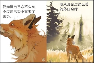 这是一幅两格漫画，左侧是一只狐狸的特写，它仰望天空，配文"我知道自己命不久矣，不过这已经不重要了因为..."；右侧是狐狸站在森林中凝视落日的远景，配文"我从没见过这么美的落日余晖"。画面通过狐狸面对死亡时发现自然之美的情节，传达出对生命和自然的感悟。画作采用水彩风格，色彩温暖，情感真挚。
