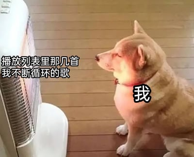 这是一张经过文字加注的趣味梗图，画面主体是一只浅棕色的狗狗，它端坐在木质地板上，双眼紧闭，神态陶醉地对着一台白色立式设备（类似空调或音响）。狗狗的身体右侧标注着“我”，画面左侧配有文字“播放列表里那几首我不断循环的歌”，将狗狗拟人化，生动形象地表现出人们沉浸在自己反复循环的喜爱歌曲中的状态，用宠物的可爱神态放大了这种享受的情绪，十分贴合日常听歌时的专一与陶醉感，容易引发共鸣。
