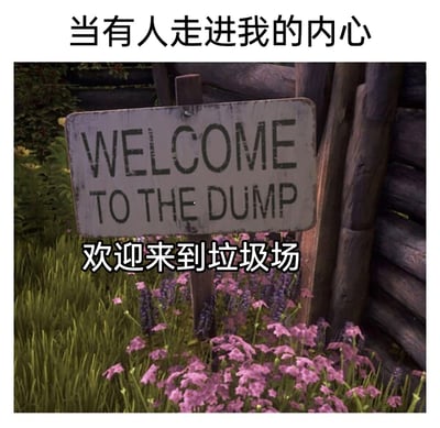 这是一张充满自嘲情绪的网络梗图，画面上方配有中文文字“当有人走进我的内心”，中间是一块带有磨损痕迹的老旧木质标牌，标牌上印着英文“WELCOME TO THE DUMP”，下方配有对应的中文翻译“欢迎来到垃圾场”；标牌周围是生长着紫色小花的绿色草地，旁边还有木屋的原木墙壁，温馨治愈的自然场景与“垃圾场”的文字形成强烈反差，用“内心如同垃圾场”的比喻，生动传递出自我贬低、认为自己内心糟糕混乱的自嘲心态，这种反差感让图中的自嘲情绪更具幽默又心酸的感染力。