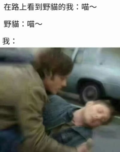 这张梗图通过文字与截图结合，展现了一个搞笑场景：上方文字描述'在路上看到野猫的我：喵～'和'野猫：喵～'，营造出人与猫友好互动的假象，随后'我：'下方配上一张真人截图——一名男子俯身查看躺在地上（疑似失去意识）的另一个人，表情凝重，形成强烈反差。通过这种夸张的对比，幽默地表现了遇到可爱野猫后内心戏过多、反应过度的搞笑状态。