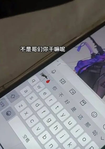 一张手机屏幕的照片，显示手机正在使用中文输入法键盘，一只蚊子正停留在键盘的"w"键上，蚊子下方还有一个红色的小点，可能是蚊子的血。图片上方有一行文字："不是哥们你干嘛呢"，以幽默的方式对蚊子停留在键盘上的行为进行调侃。