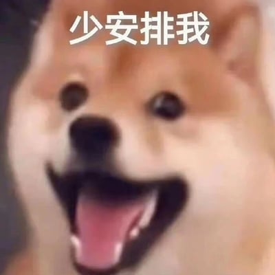 这是一张文字加注类的静态表情素材图，主体是一只浅棕色的类柴犬狗狗，它嘴巴大张，表情夸张，看起来带着明显的抗拒感。图片上方配有醒目的白色文字“少安排我”，将狗狗的抗拒表情与直白的文字相结合，精准地传递出不想被安排额外工作、事务，希望拒绝被支配的情绪，非常适合在职场沟通、日常社交聊天中用来表达自己的抗拒心态，直白又带有搞笑的效果，能让情绪表达更生动。