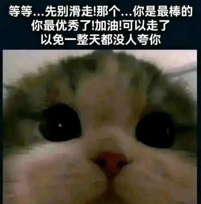 这是一张图文混排的静态表情素材图，上方是白色的暖心鼓励文字，内容为“等等...先别滑走!那个...你是最棒的你最优秀了!加油!可以走了以免一整天都没人夸你”，下方是一只大眼睛猫咪的脸部特写，猫咪眼神软萌真诚，整体风格温馨治愈。通过可爱的宠物形象搭配直白的鼓励话语，给看到图片的人传递正向情绪，适合在聊天中用来鼓励他人或者进行自我激励，缓解负面情绪。