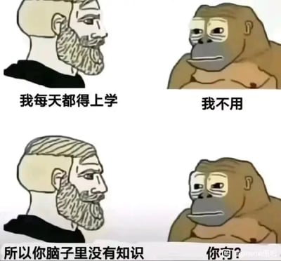 这是一张由上下两格组成的连环卡通梗图，采用图文混排的形式呈现。上半部分左侧是留着络腮胡的卡通男性，他面无表情地面向右侧，配文“我每天都得上学”；右侧是表情呆滞的卡通猩猩，面向左侧，配文“我不用”。下半部分左侧的络腮胡男性继续发言：“所以你脑子里没有知识”，右侧的猩猩则以一句反问“你有？”回应。整个梗图通过反讽的方式制造幽默，调侃了部分有上学经历的人并没有真正掌握知识的现实，用简单的对话反差戳中痛点，形成强烈的喜剧效果。