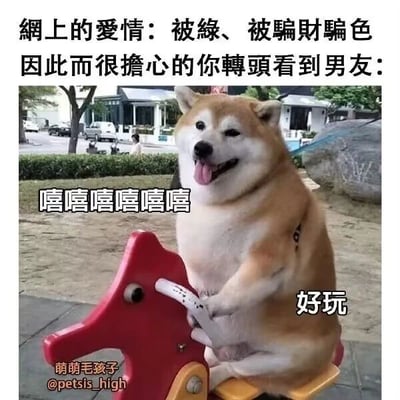 这是一张图文结合的搞笑梗图，上方配有繁体转简体后的文字：‘网上的爱情：被绿、被骗财骗色 因此而很担心的你转头看到男友：’，图中主体是一只表情傻气的柴犬，它坐在红色的摇摇马上，吐着舌头，前爪抓着摇摇马的扶手，看起来十分开心。柴犬的旁边配有文字‘嘻嘻嘻嘻嘻嘻’和‘好玩’，模拟男友的状态。整体通过对比网上爱情的负面乱象和自己男友的幼稚憨傻，形成强烈的反差感，既调侃了部分男友的不成熟，也用这种轻松的方式消解了人们对爱情负面新闻的焦虑，制造出搞笑的效果。