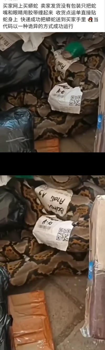 这是一组上下拼接的实拍图，展示了一条被胶带缠住嘴部和眼部、身上直接贴着快递运单的蟒蛇，混在普通快递包裹堆中。配文玩了双关梗：将这种完全不符合常规快递流程的离谱操作，类比成「当代码以一种诡异的方式成功运行」——明明操作不合规范，却意外达成了目标，既吐槽了卖家操作的荒诞，又精准戳中程序员的共鸣点，用熟悉的场景调侃离谱事件。
