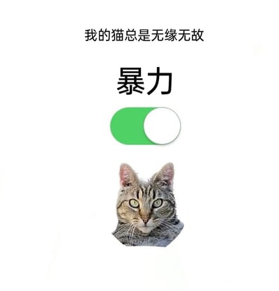 这是一张采用图文混排形式的趣味宠物吐槽梗图，画面上方依次排列文字“我的猫总是无缘无故”与加粗的“暴力”二字，下方搭配一个处于开启状态的绿色UI开关按钮，最底部是一只表情严肃、眼神锐利的狸花猫头部图像。整体通过拟人化的“开关设定”，调侃自家猫咪总是毫无缘由地表现出带有攻击性的小脾气，生动还原了养猫过程中遇到的猫咪“突然暴躁”的日常场景，容易引发养猫人群的共鸣。