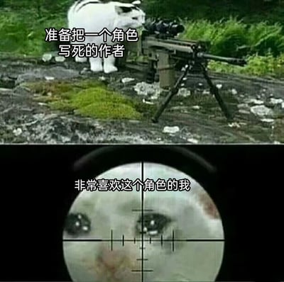 这是一张上下拼接的对比式梗图，上图呈现一只白色猫咪操控着狙击枪，配文标注为“准备把一个角色写死的作者”，将作者决定角色命运的行为拟作狙击的动作，表现出作者的“强势”姿态；下图是狙击镜的视角，镜中是一只泪眼汪汪、满脸委屈的猫咪，配文标注为“非常喜欢这个角色的我”，精准还原了读者面对喜爱角色即将被写死时，那种无助、恐慌又委屈的心情。整张图用拟人化的猫咪形象和狙击的场景，生动制造出作者与读者在角色命运上的对立反差，调侃了网文读者面对喜欢角色被写死时的意难平情绪。