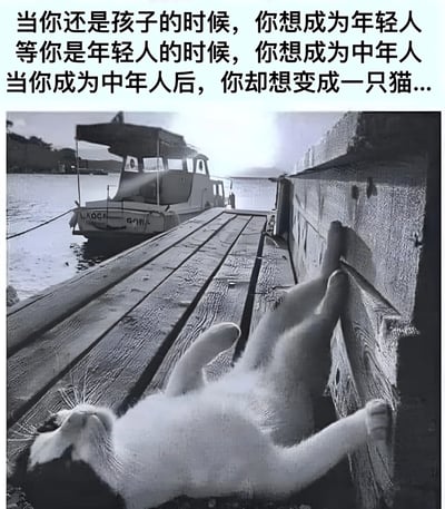 这张图片通过幽默的方式展现了人生不同阶段的愿望变化。上方文字写道：'当你还是孩子的时候，你想成为年轻人 等你是年轻人的时候，你想成为中年人 当你成为中年人后，你却想变成一只猫...'，下方是一张黑白照片，照片中一只猫正惬意地躺在木制码头上，背景有一艘停泊的船。图片通过这种对比，表达了人们对简单、悠闲生活状态的向往，以及对现实生活压力的一种幽默调侃。