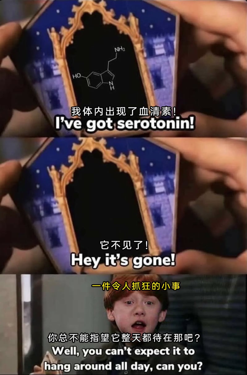 《哈利·波特与魔法石》