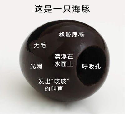 这是一张充满脑洞的玩梗图文加注图，图中主体是一个深棕色的橡胶玩具球，却被顶部文字标注为“这是一只海豚”，并且在球的不同位置用文字标注了对应海豚的特征：将球的孔洞标注为“呼吸孔”，将球的橡胶材质标注为“橡胶质感”“光滑”“无毛”，将玩具球能漂浮、挤压会发出吱吱声的特性，对应标注为“漂浮在水面上”“发出‘吱吱’的叫声”，用一本正经的动物特征描述来对应普通玩具的特性，制造出荒诞搞笑的反差效果，属于网友的趣味脑洞创作。