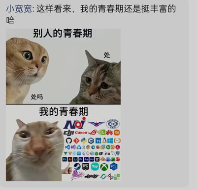 图片上方为用户“小宽宽”的评论：“这样看来，我的青春期还是挺丰富的哈”。下方分为“别人的青春期”和“我的青春期”两部分对比。
- **别人的青春期**：左侧橘猫瞪大双眼配文“处吗”（询问是否恋爱），右侧狸花猫标注“处”（同意恋爱），模拟青春期恋爱场景。
- **我的青春期**：灰白猫旁布满各类标志，包括NOI竞赛、Canon相机、Adobe系列软件（PS、AI等）、游戏平台（EPIC、TapTap、Xbox）及多款游戏LOGO，暗示青春期被兴趣爱好（编程、摄影、设计、游戏）填满。
通过夸张对比制造幽默效果，自嘲式展现个人青春期与他人“恋爱主题”不同，充满多元兴趣。