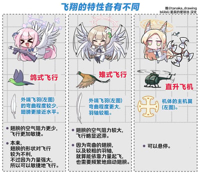 这是一张针对手游《蔚蓝档案》中三位天使系角色的同人趣味科普梗图，采用Q版可爱画风，将角色的飞行设定对应现实中的生物与飞行器：
1. 圣园未花对应「鸽式飞行」，翅膀形态接近鸽子，标注了翅膀特征与敏捷的飞行特点，角色手持枪械，表情兴奋；
2. 明日奈（日奈）对应「雉式飞行」，翅膀参考雉鸡的翅膀结构，标注了飞行迟滞、需要频繁扇动翅膀的特点，角色表情愉悦；
3. 伊落玛丽的「翅膀」是螺旋桨结构，对应「直升机飞行」，可以悬停，角色表情慵懒。
图中详细说明了每种飞行方式的翅膀形态细节与飞行特性，是结合角色设定的趣味科普内容，无谐音或双关梗。