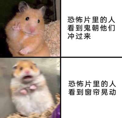 暂无描述