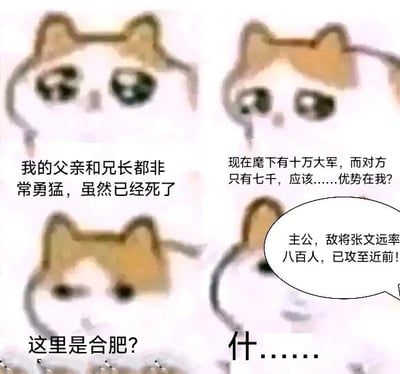 这是一张四格连环的图文混排卡通表情包，以网络流行的悲伤小猫形象为载体，演绎三国时期合肥之战的经典历史剧情。第一格中，小猫代入孙权的角色，感慨父亲孙坚、兄长孙策勇猛却已离世；第二格中，小猫认为自己麾下有十万大军，而合肥守兵仅七千，产生“优势在我”的自信想法；第三格中，小猫疑惑地意识到此处是合肥，暗示预感到危机；第四格中，下属汇报敌将张辽（张文远）仅率八百人就已攻至近前，小猫露出震惊的神态，以“什……”结尾，凸显剧情的反转。表情包通过巨大的兵力反差和历史事件的既定结果，制造出强烈的喜剧效果，调侃了看似占据绝对优势却最终遭遇惨败的场景。