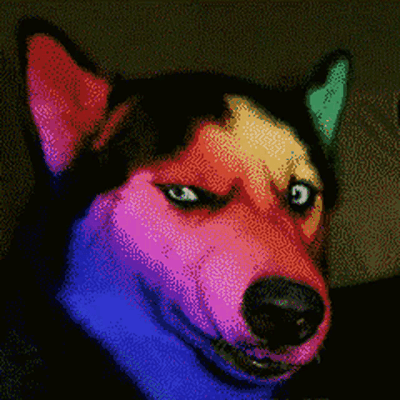 这是一款动态GIF表情包，以经典的Doge神烦狗柴犬形象为主体，给柴犬加上了粉蓝紫的霓虹色调，双眼会发出刺眼的白色强光，强光会瞬间铺满整个画面形成闪屏效果，随后回到柴犬的画面循环播放，整体风格搞怪又酷炫，适合在聊天中用来表达震惊、耍帅，或是用闪屏效果来玩梗互动。