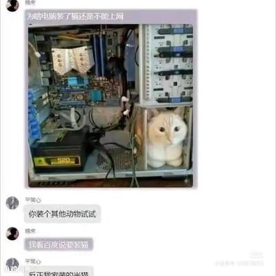 这是一张社交媒体聊天记录截图，用户「晓来」发布了一张将橘猫放进电脑机箱空位的照片，配文询问「为啥电脑装了猫还是不能上网」，显然是将上网所需的「调制解调器（俗称‘猫’）」误解为动物猫咪，真的把猫放进了电脑机箱中。用户「平常心」调侃回复「你装个其他动物试试」，「晓来」称「我看百度说要装猫」，「平常心」接着玩梗回复「反正我家装的米猫」。整个内容利用「猫」的双关含义制造笑点：「猫」既指动物猫咪，也指上网用的调制解调器。
