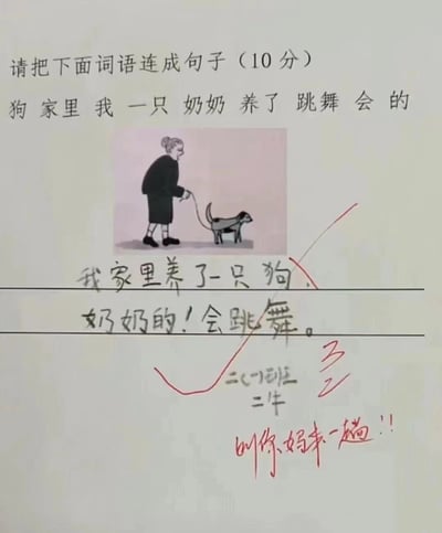 一张小学生语文作业纸，题目要求用给定词语连成句子："狗 家里 我 一只 奶奶 养了 跳舞 会 的"。作业纸上有一幅简笔画，画着一位老奶奶牵着一只狗。学生的答案是："我家里养了一只狗。奶奶的！会跳舞。"老师用红笔打了3分（总分10分），并批注"叫你妈来一趟！"。

图片通过小学生断句不当产生了幽默效果，将本应连成一句的"我奶奶在家里养了一只会跳舞的狗"拆分成了带有歧义的"我家里养了一只狗。奶奶的！会跳舞。"，引发老师无奈反应。