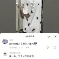 这是一张来自抖音的社交媒体竖屏截图，画面上方是一位穿着印有蜜蜂图案白色上衣的人，由于视觉错位效果，上衣上的图案看起来如同真实蜜蜂趴在身上；下方评论区中，网友“无语”调侃道“真的没有人去帮你轰走蜜蜂吗”，另有网友回复“买一件，下次坐三号线穿”，通过视觉错位制造出趣味玩梗的效果，引发搞笑互动。