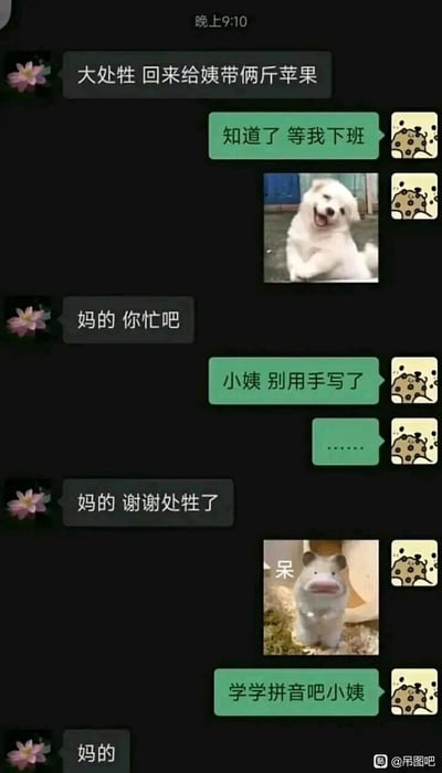这是一段充满趣味的微信聊天记录截图，聊天双方为小姨和她的外甥。小姨使用手写输入功能，多次将“外甥”误识别为“处牲”，先是让“大处牲”帮忙带苹果，在晚辈回复知道后说“妈的 你忙吧”，晚辈提醒小姨别用手写输入，小姨后续回复依然将“外甥”写成“处牲”，晚辈发送开心的白狗表情包、发呆的仓鼠表情包，并建议小姨学学拼音，最后小姨只回复了“妈的”。整个对话因手写输入的识别错误产生乌龙笑点，展现了长辈使用输入法时的有趣日常。
