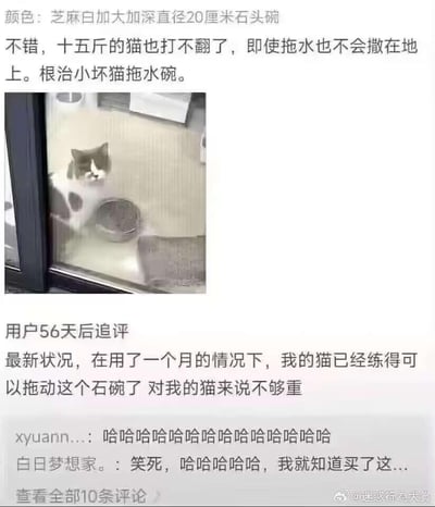 这是一张截取电商平台买家评价的搞笑截图，分为上下两部分：上方是买家刚购买直径20厘米的芝麻白加大加深石头碗后的评价，称15斤的猫打不翻这个碗，能根治猫拖水碗的问题，还附上了猫咪对着石碗的照片；下方是56天后的追评，买家表示使用一个月后，自家猫已经练得可以拖动这个石碗，对猫来说重量还是不够。评论区的网友纷纷发出爆笑调侃，形成了猫咪成长与买家预期反差的搞笑效果。
无双关、谐音梗或暗示内容。