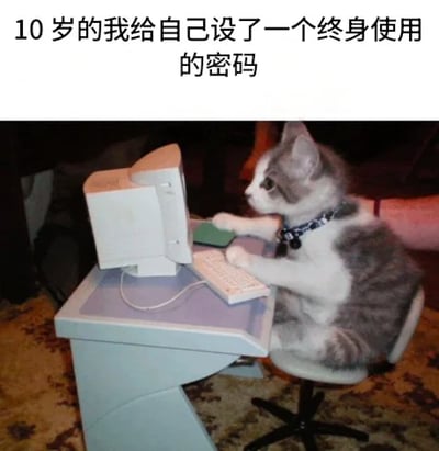 图片上方配有文字“10岁的我给自己设了一个终身使用的密码”，下方是一只灰白相间的猫坐在小型蓝色书桌前，前爪放在键盘上，正专注地盯着老式CRT显示器，仿佛在认真设置密码。画面通过可爱的猫咪拟人化动作，幽默展现了童年时期天真地设置“终身密码”的场景，引发人们对儿时幼稚决定的共鸣和会心一笑。