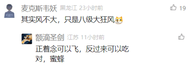 这是一张社交媒体评论区的截图，展示了两条充满趣味的用户评论。第一条评论由用户“麦克斯韦妖”发布，内容为“其实风不大，只是八级大狂风😹”，通过“风不大”和“八级大狂风”的强烈反差制造出幽默效果，八级狂风本身属于大风天气，这种反差表述形成了荒诞的笑点；第二条评论由用户“额滴圣剑”发布，内容为“正着念可以飞，反过来可以吃对，蜜蜂”，玩起了文字正反读的梗，“蜜蜂”正读是会飞的昆虫，反读为“蜂蜜”是可以食用的食物，利用文字的双向含义创造出巧妙的趣味，两条评论都充满轻松诙谐的氛围，体现了网友的创意和幽默感。