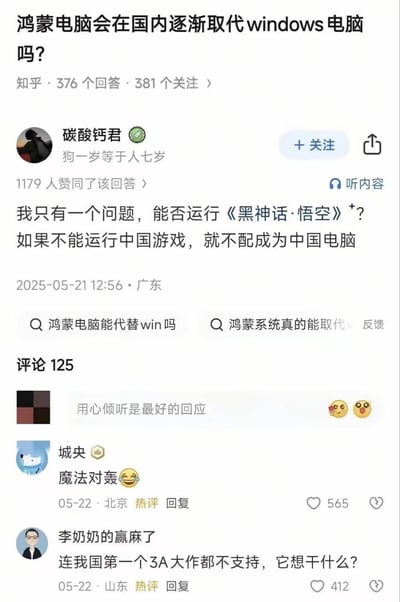 这是一张知乎平台的问答截图，顶部展示的问题为“鸿蒙电脑会在国内逐渐取代windows电脑吗？”，显示该问题有376个回答、381人关注。用户“碳酸钙君”发布的高赞回答称自己只有一个问题，即鸿蒙电脑能否运行《黑神话·悟空》，如果不能运行中国游戏就不配成为中国电脑，该回答获得1179人赞同，发布于2025年5月21日，发布地点为广东。下方评论区展示了两条热评，用户“城央”评论“魔法对轰”获得565个点赞，用户“李奶奶的赢麻了”评论“连我国第一个3A大作都不支持，它想干什么？”获得412个点赞。
